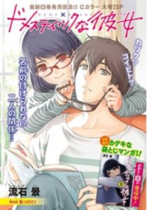 Domestic Na Kanojo